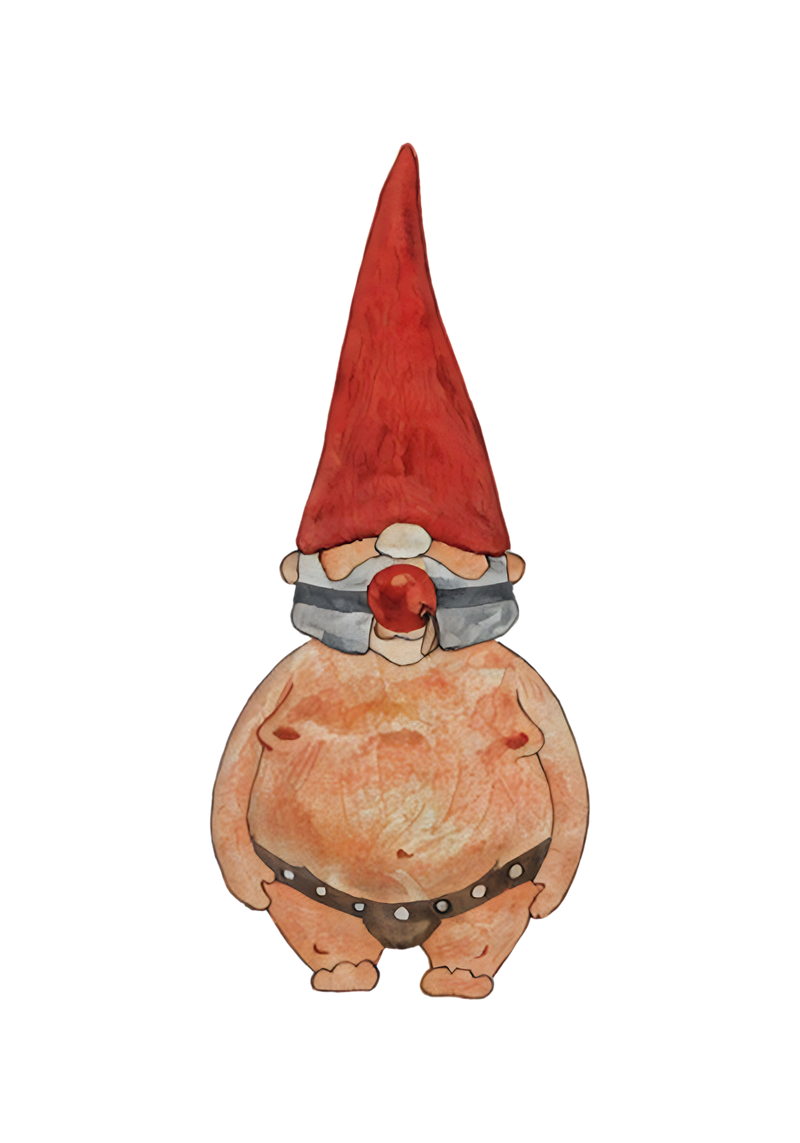 Naughty Gnomes