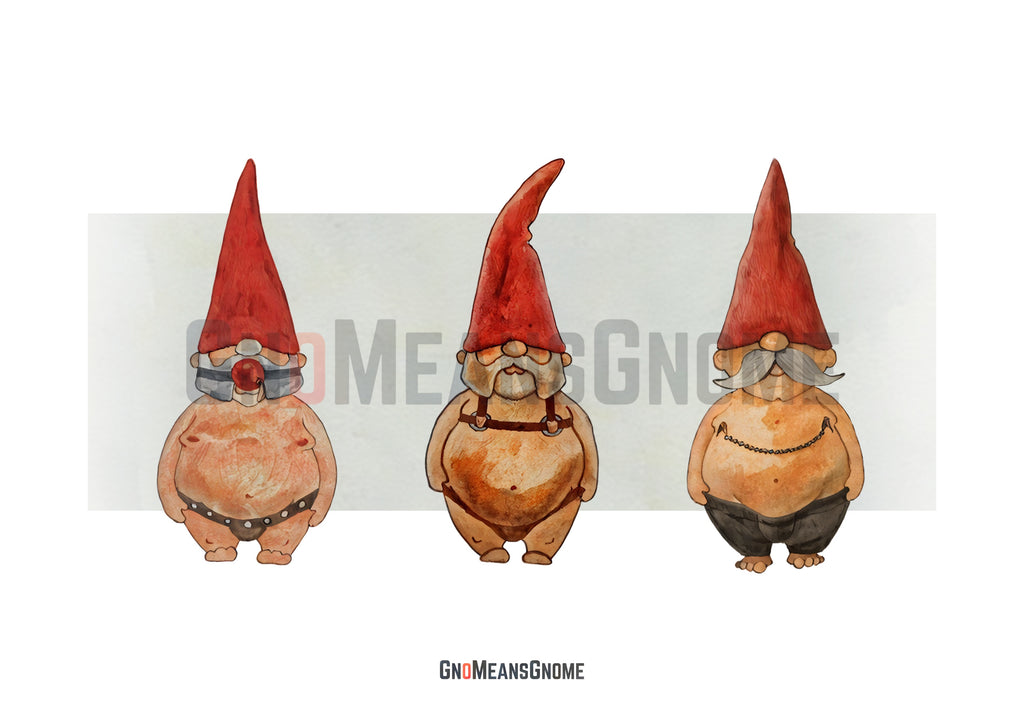Three Naughty Gnomes - Funny Gnome Greeting Art - Card / Small Poster
